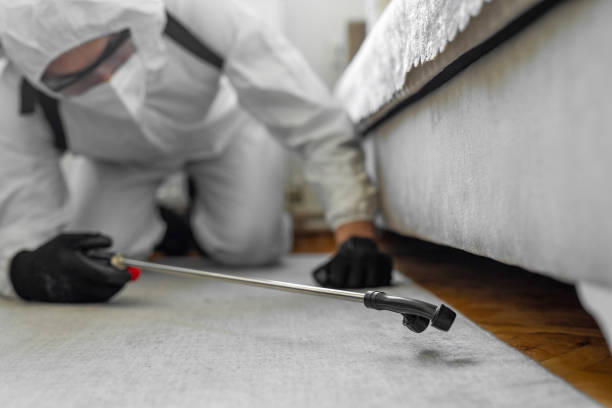 Professional Bed Bug Control technician working in Bay Shore, NY