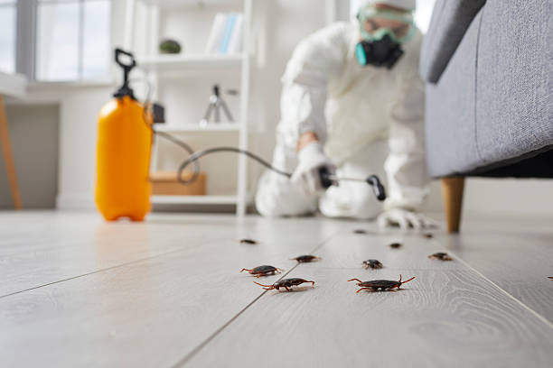 Trusted Cockroach Control service in Bay Shore, NY - Nex Pest Control
