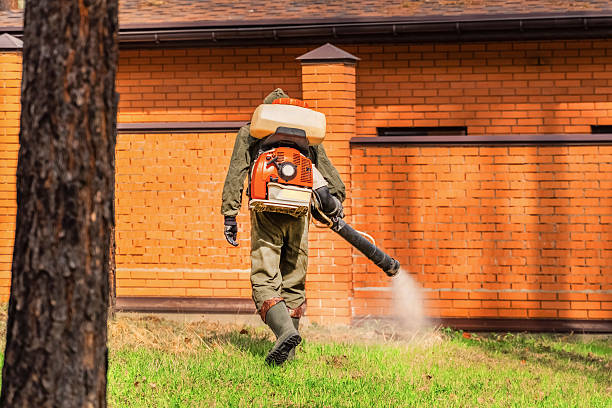 Trusted Termite Control service in Bay Shore, NY - Nex Pest Control